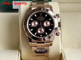 Rolex Cosmograph Daytona Oyster 40mm Everose Gold Replica