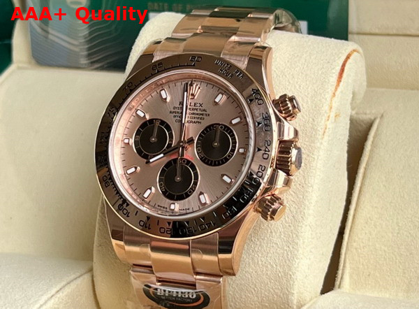 Rolex Cosmograph Daytona Oyster 40mm Everose Gold Rose Gold Dial Replica