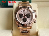 Rolex Cosmograph Daytona Oyster 40mm Everose Gold Rose Gold Dial Replica