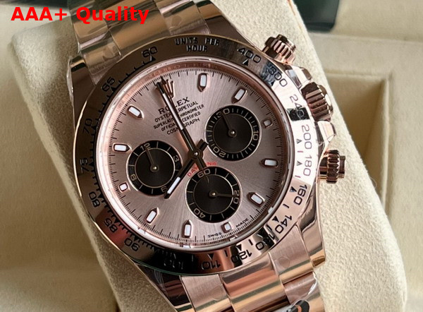 Rolex Cosmograph Daytona Oyster 40mm Everose Gold Rose Gold Dial Replica