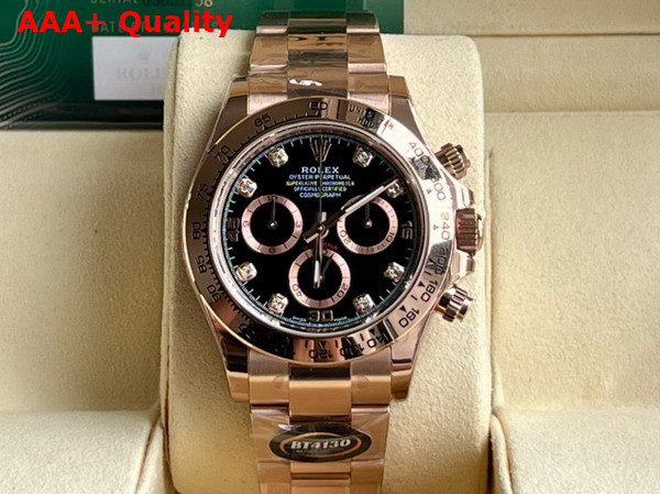 Rolex Cosmograph Daytona Oyster 40mm Everose Gold and Black Dial with Diamonds Replica