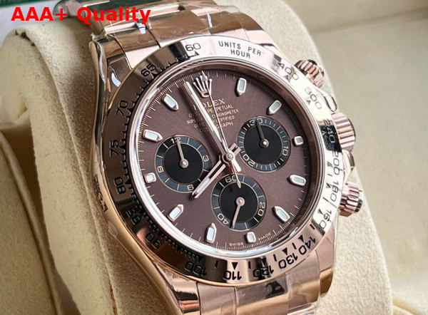 Rolex Cosmograph Daytona Oyster 40mm Everose Gold and Chocolate Dial Replica