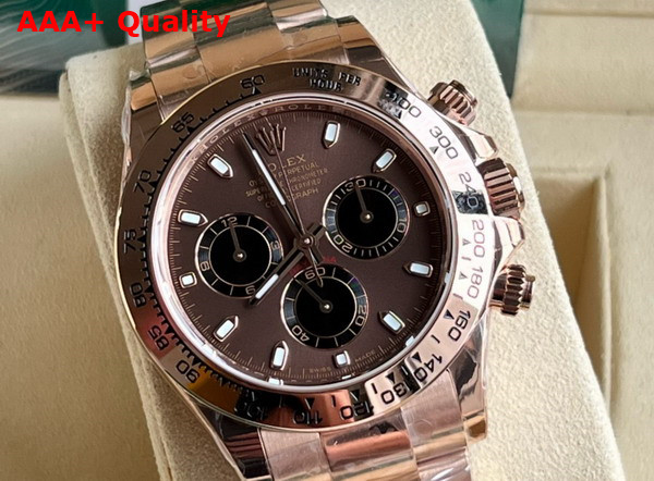 Rolex Cosmograph Daytona Oyster 40mm Everose Gold and Chocolate Dial Replica