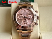 Rolex Cosmograph Daytona Oyster 40mm Everose Gold and Pink Dial Replica