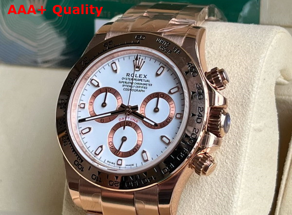 Rolex Cosmograph Daytona Oyster 40mm Everose Gold and White Dial Replica