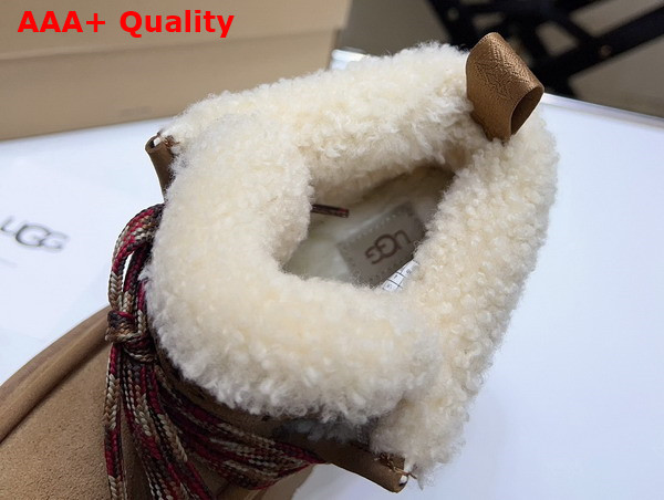 UGG Lace Up Ankle Boot in Chestnut Sheepskin Replica