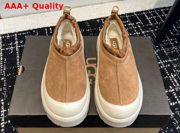 UGG Tasman Weather Hybrid in Chestnut and White Cap Replica