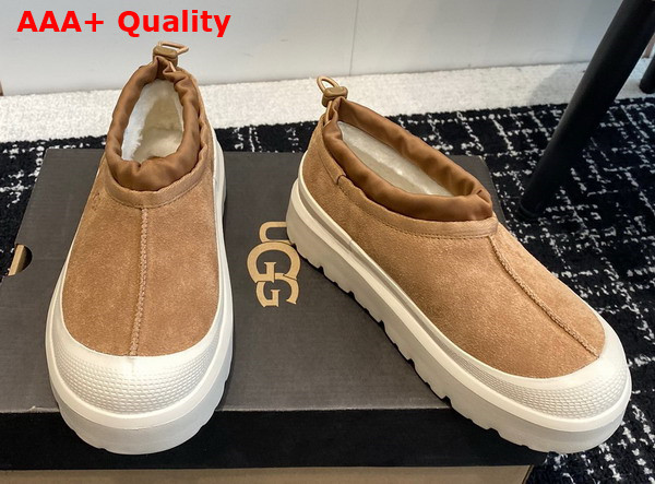 UGG Tasman Weather Hybrid in Chestnut and White Cap Replica