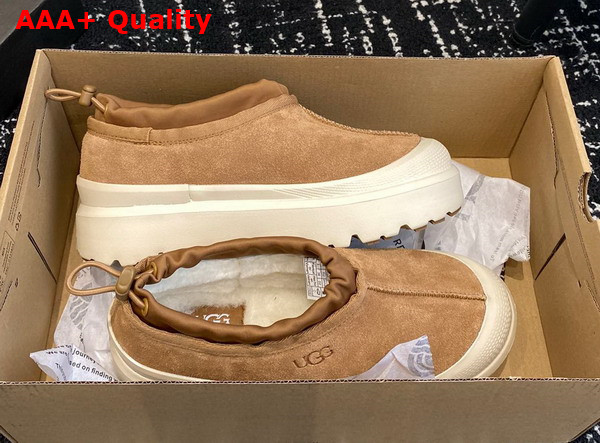 UGG Tasman Weather Hybrid in Chestnut and White Cap Replica