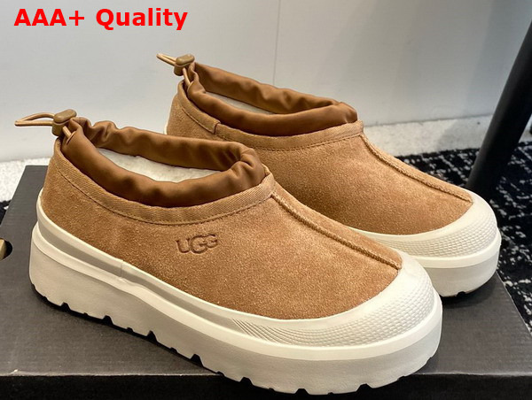 UGG Tasman Weather Hybrid in Chestnut and White Cap Replica