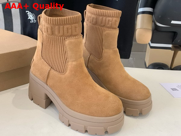 UGG Womens Brooklyn Chelsea Boot in Mustard Seed Replica